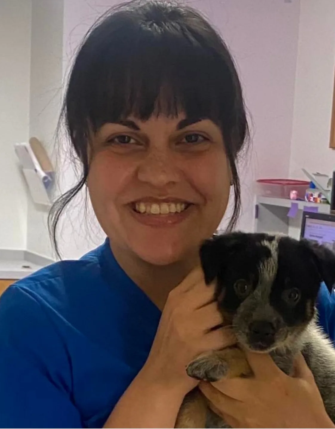 DVM Devery Hunt DVM Devery Hunt