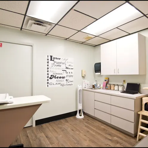 Ehrlich Animal Hospital and Arthritis Therapy Cat Exam Room