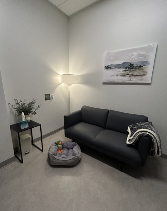 Vista Veterinary Specialists Waiting Area With Dog Bed
