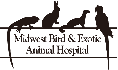 Midwest Bird and Exotic Animal Hospital-HeaderLogo