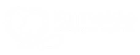 Burnside Veterinary Hospital Logo Burnside Veterinary Hospital Logo