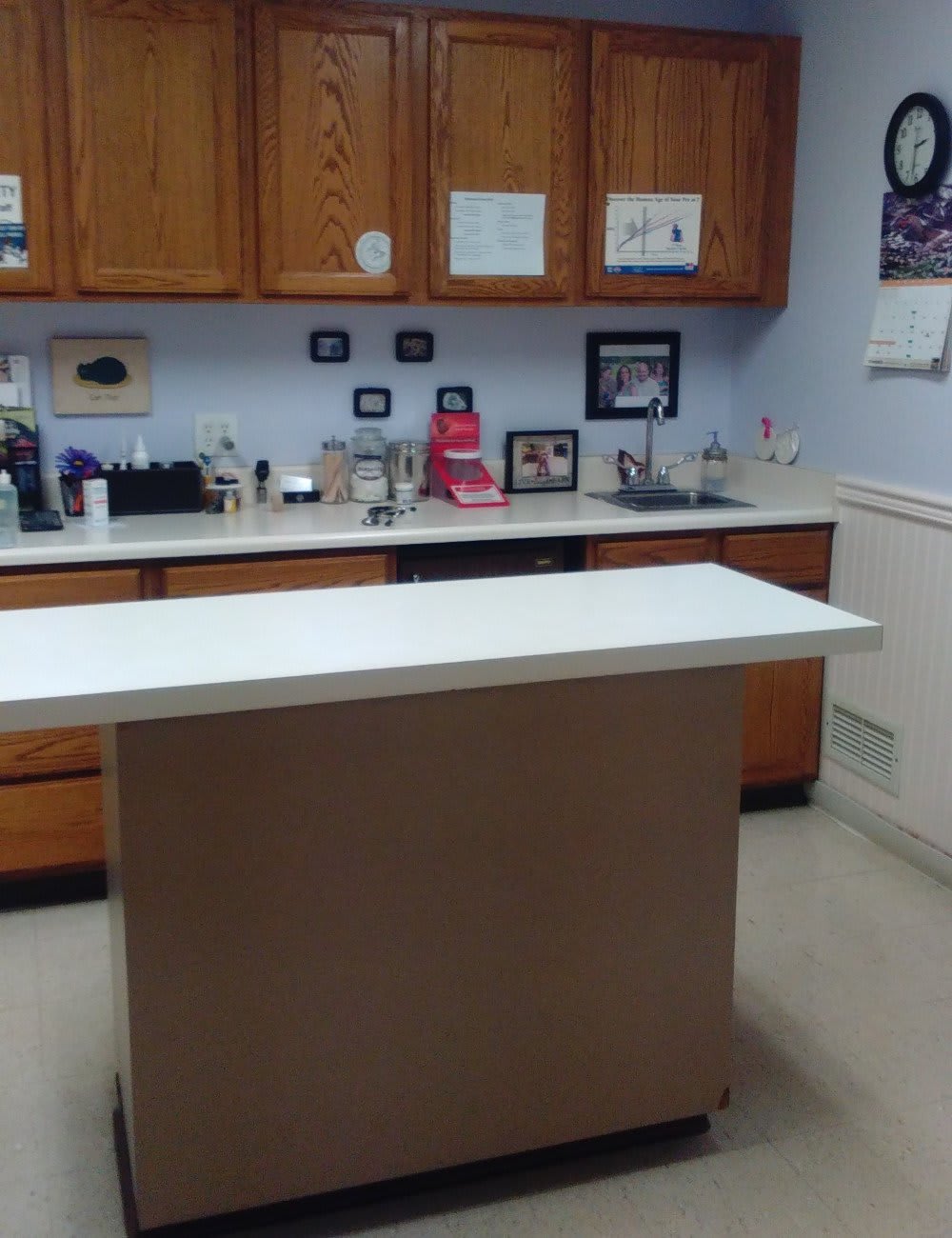 East State Veterinary Clinic Exam Table