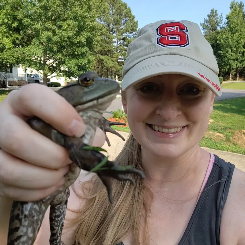 Dr. Rita Sabadish with a cat, DVM in Hidden Valley Animal Hospital Dr. Rita Sabadish with a cat, DVM in Hidden Valley Animal Hospital