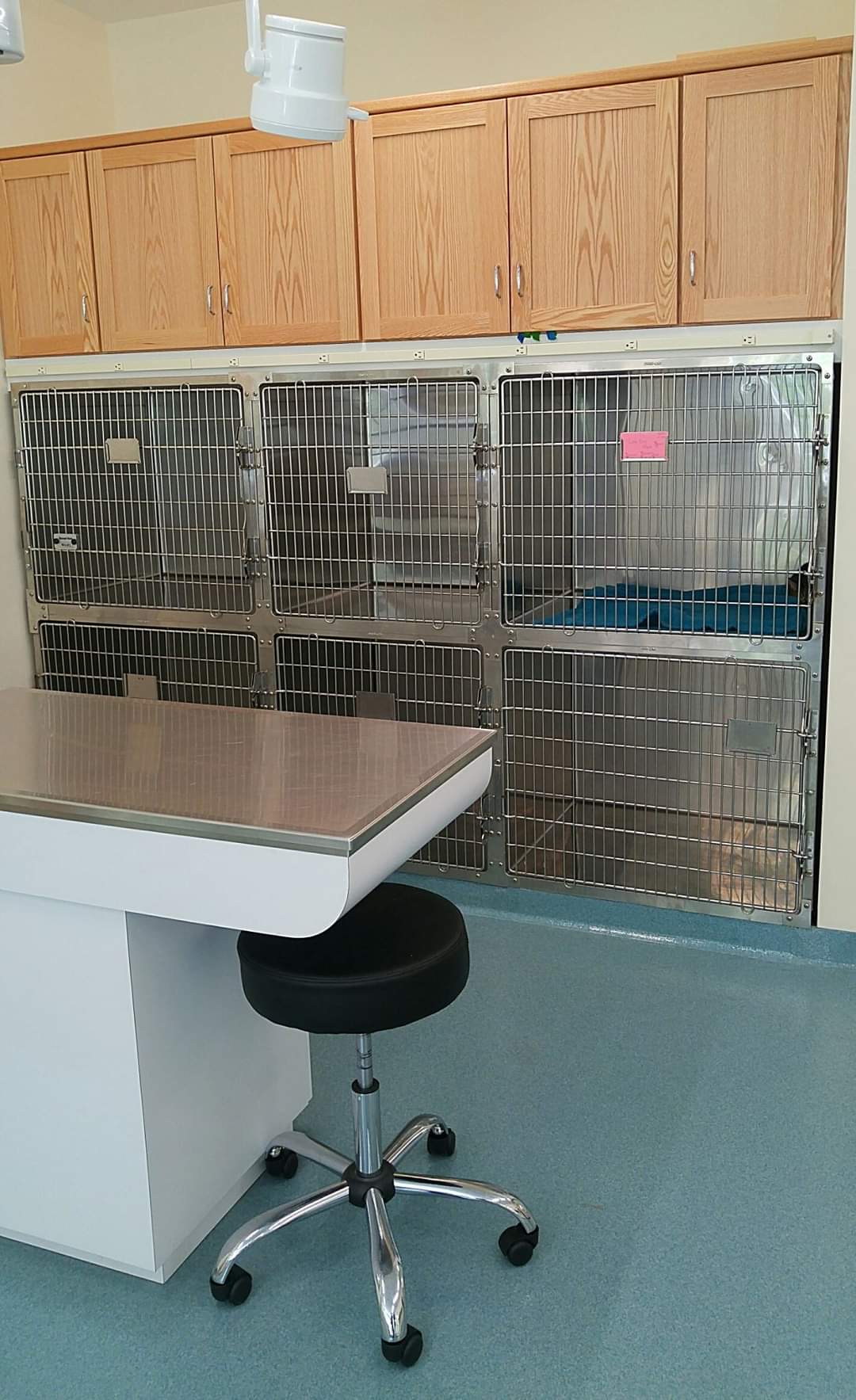 Kennels and shelves over them.