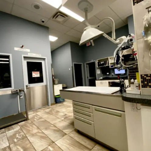 Examination Room Examination Room