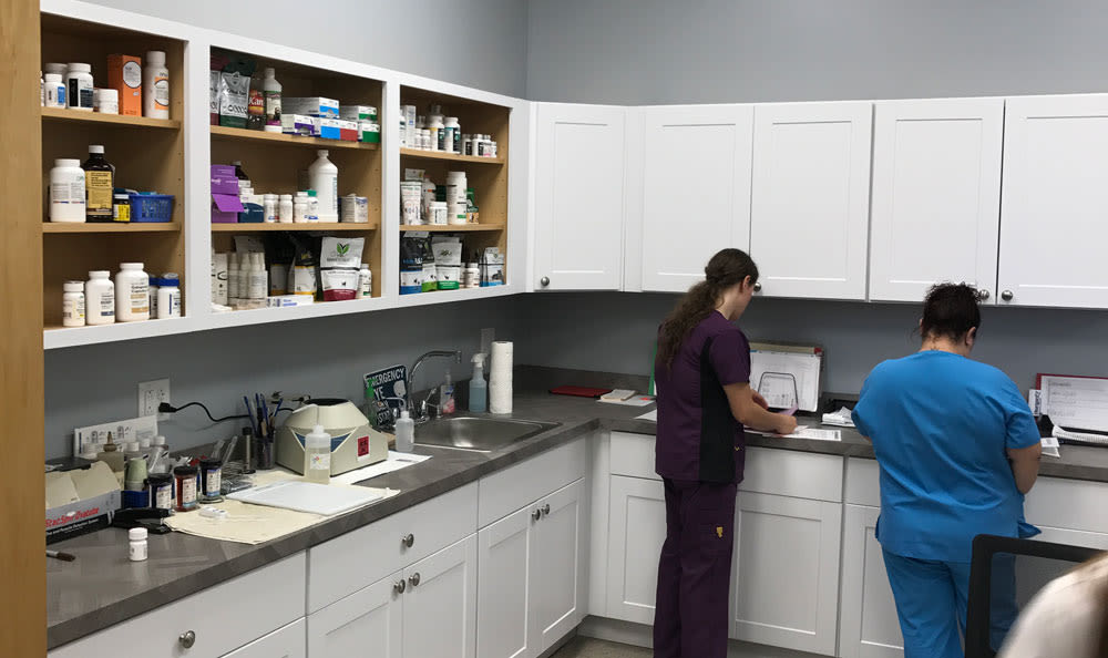 Veterinarians in the pharmacy