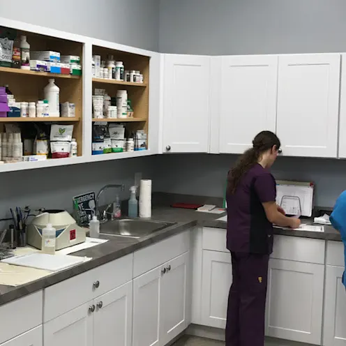 Veterinarians in the pharmacy Veterinarians in the pharmacy