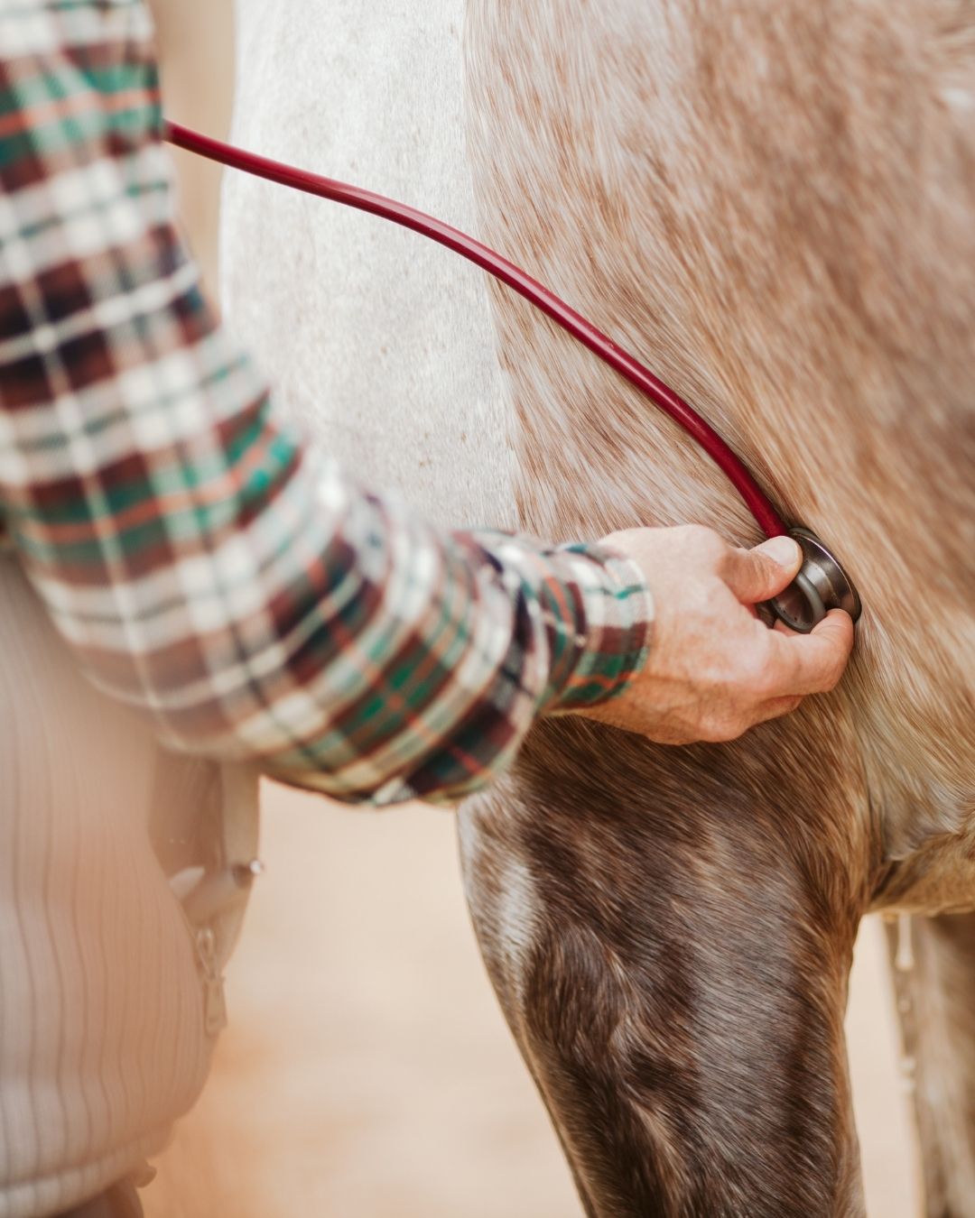 ambulatory care image