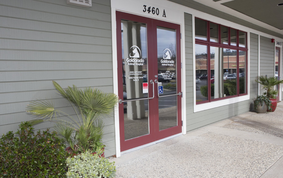 Front entrance to Goldorado Animal Hospital