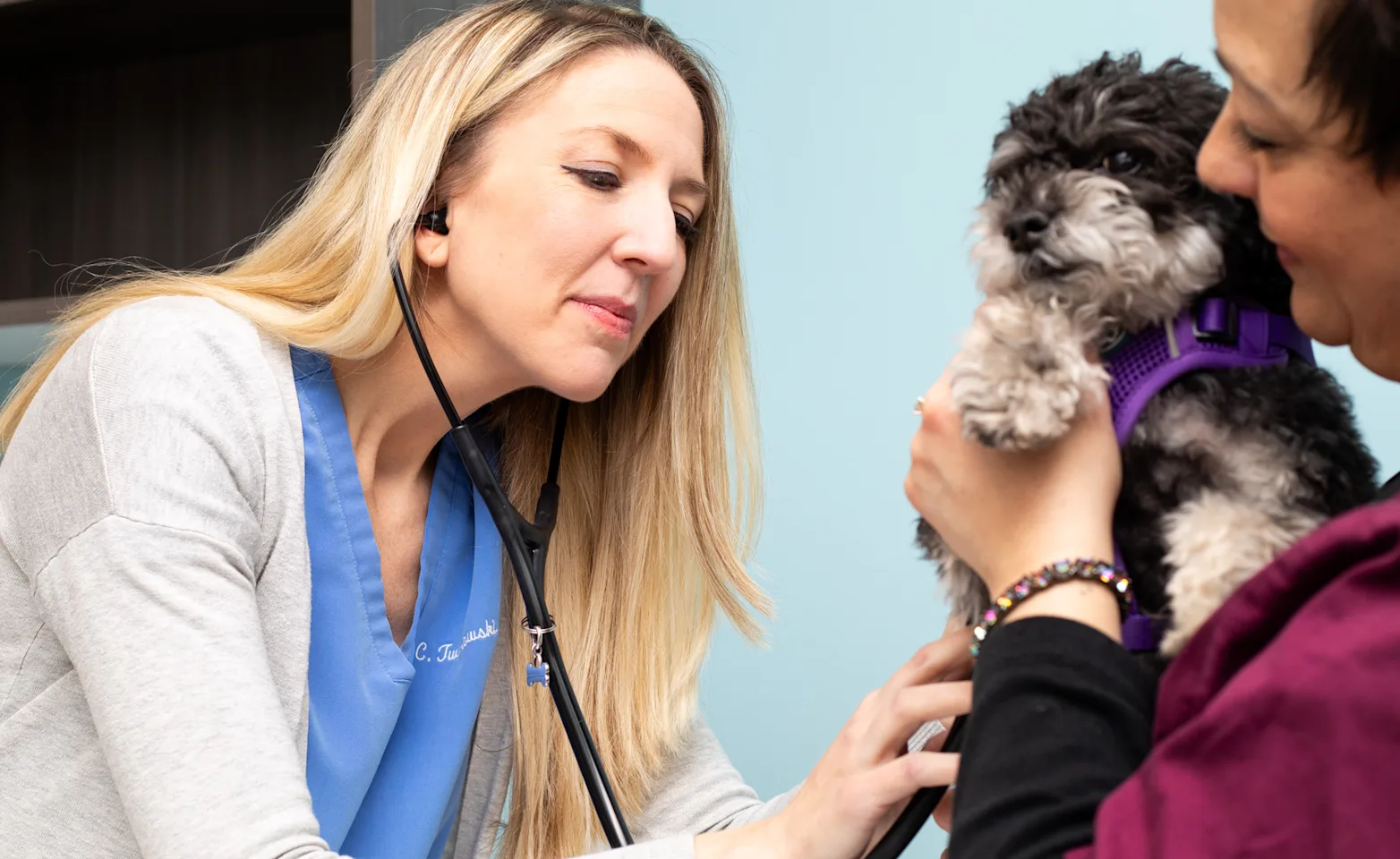 Catherine examining dog Catherine examining dog