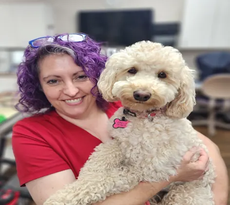 staff member holding dog staff member holding dog