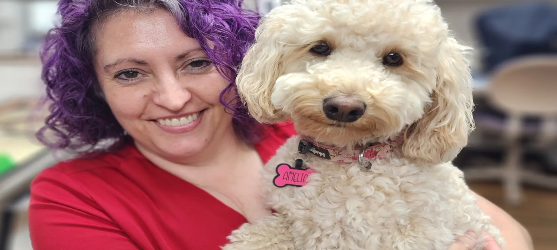 staff member holding dog staff member holding dog