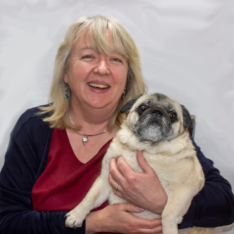 Dr. Maura Mansfield of Memorial Drive Veterinary Clinic Dr. Maura Mansfield of Memorial Drive Veterinary Clinic