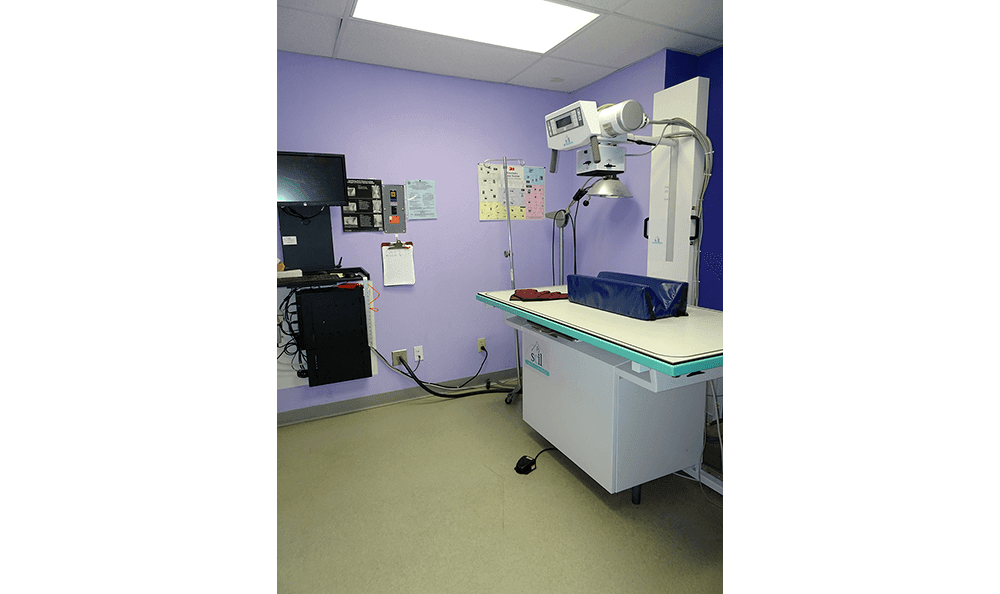 Sandwich Veterinary Hospital Xray Room