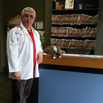 Dr. Ervin Harxhi with a cat