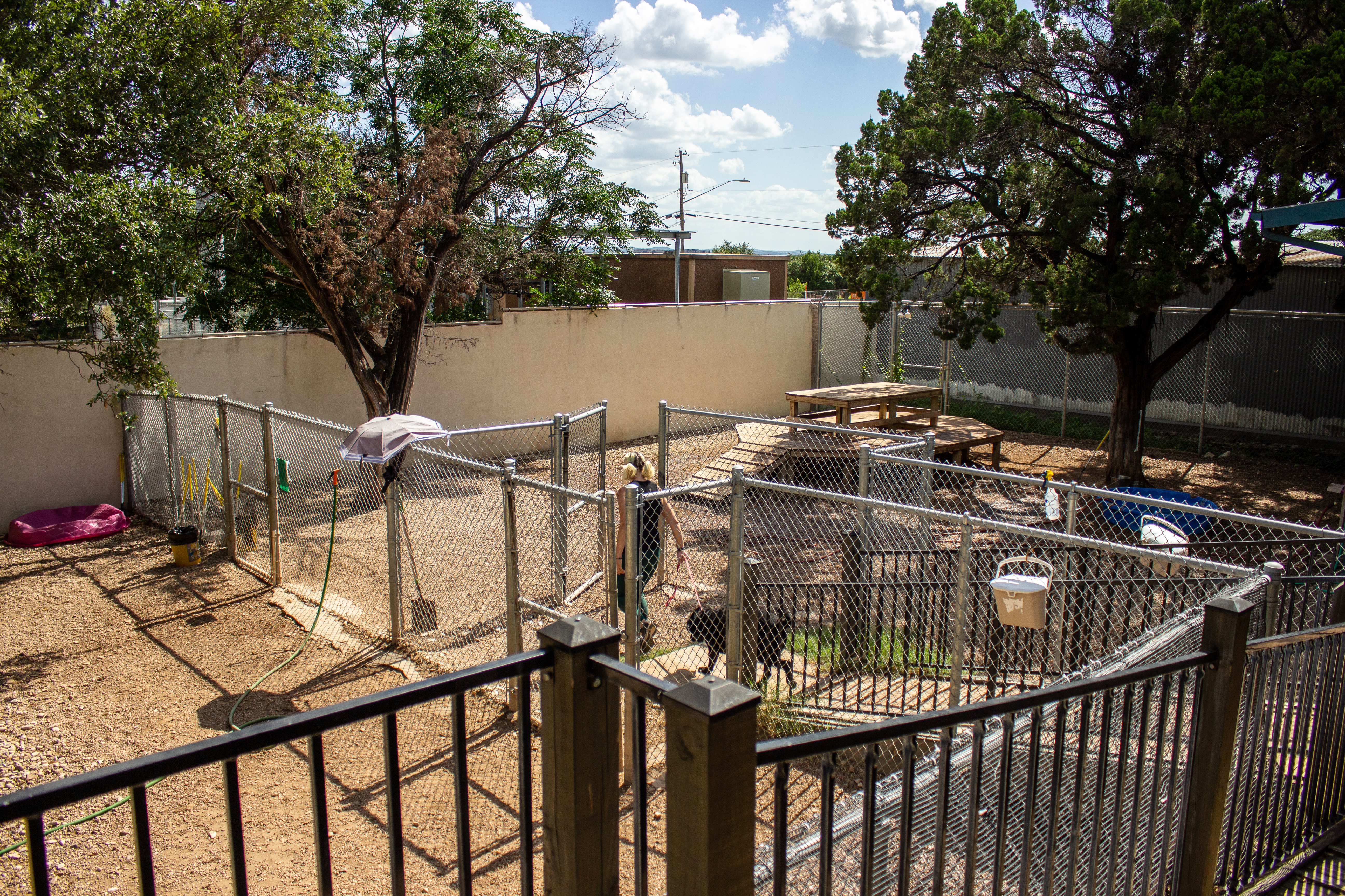 Taurus Academy - Lake Travis Yard