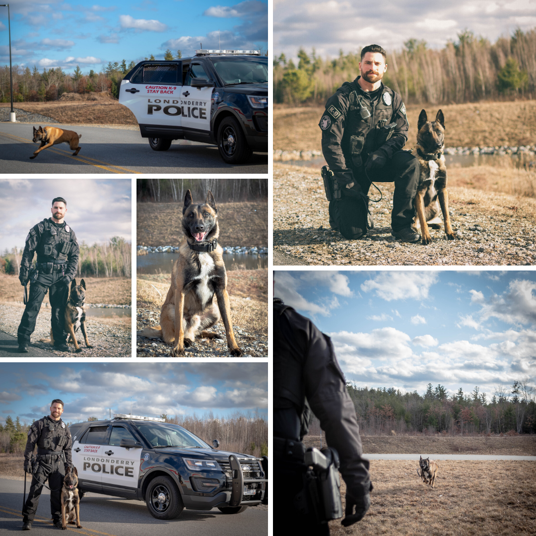 A collection of images containing the dog "Ammo"