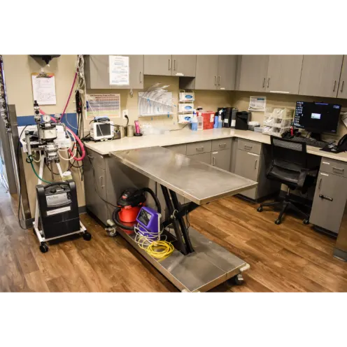 Surgery Prep Station in All City Pet Care Veterinary Emergency Hospital