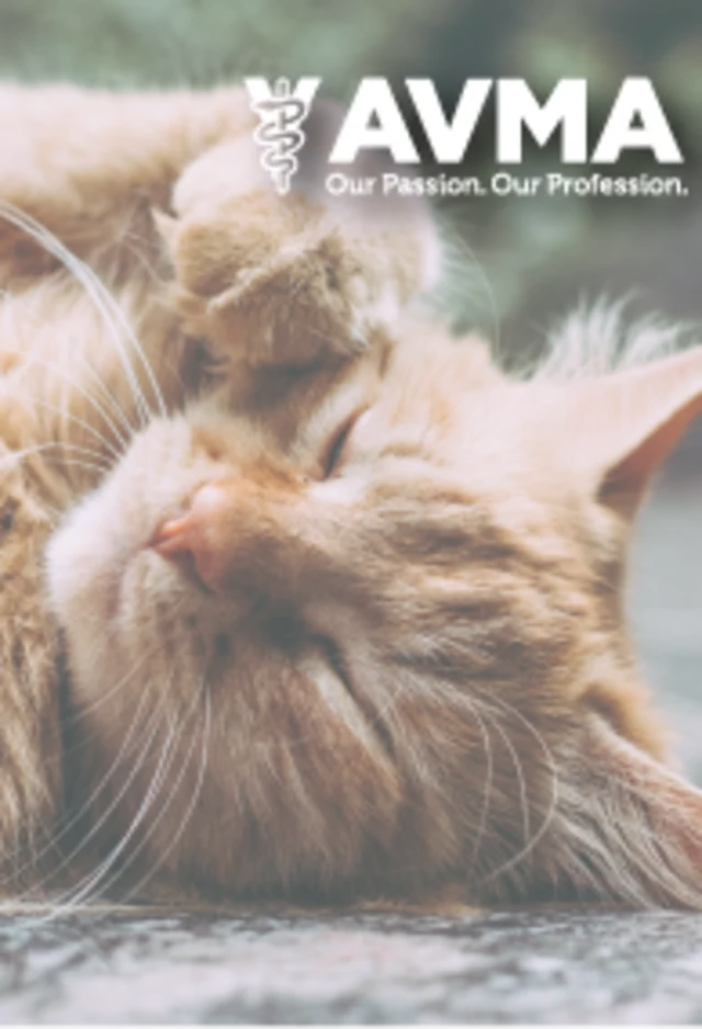 American Veterinary Medical Association (AVMA) American Veterinary Medical Association (AVMA)