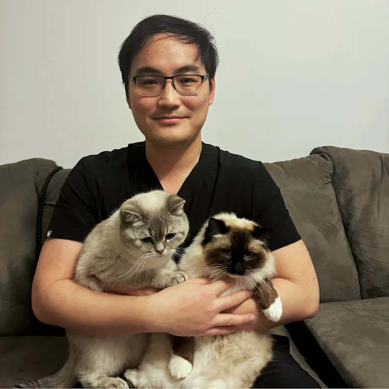 KINMAN LOI KINMAN LOI