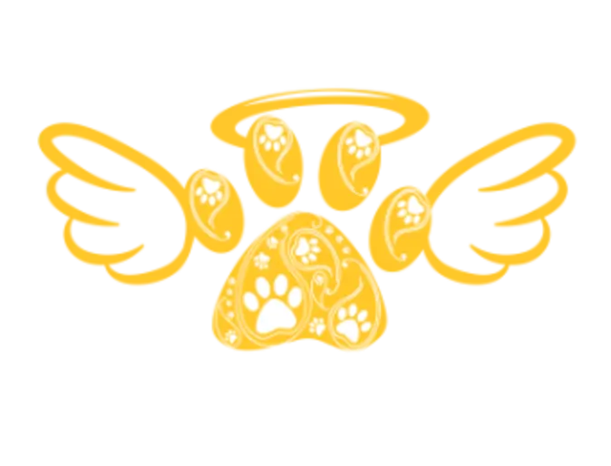 Paisley Paws Angel Icon Paisley Paws Angel Icon