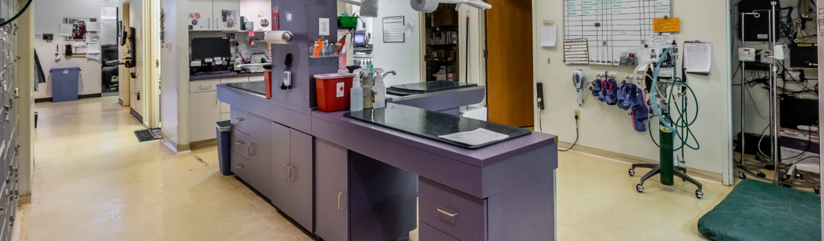 Service room at Tender Touch Animal Hospital