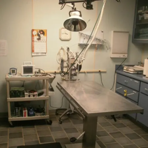 Cape Fear Animal Hospital surgery room