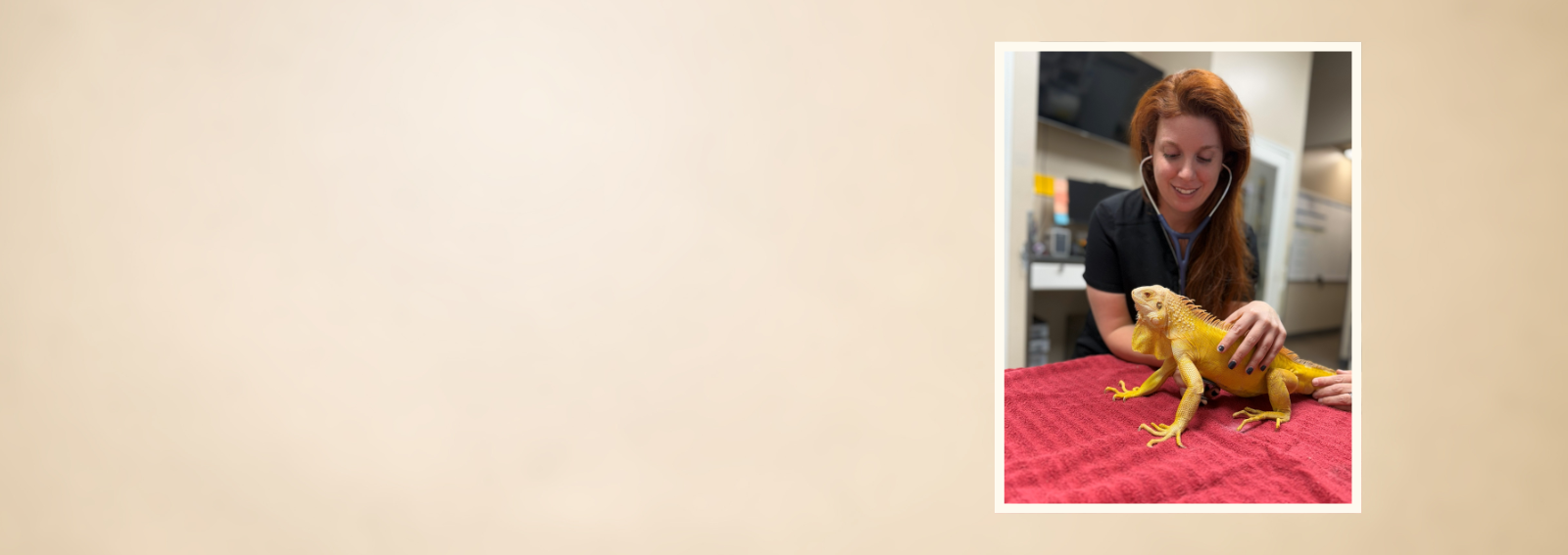 Dr. Ryan with Exotic Animal