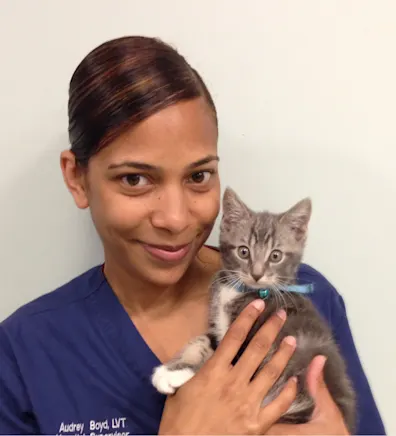 Audrey Boyd Audrey Boyd