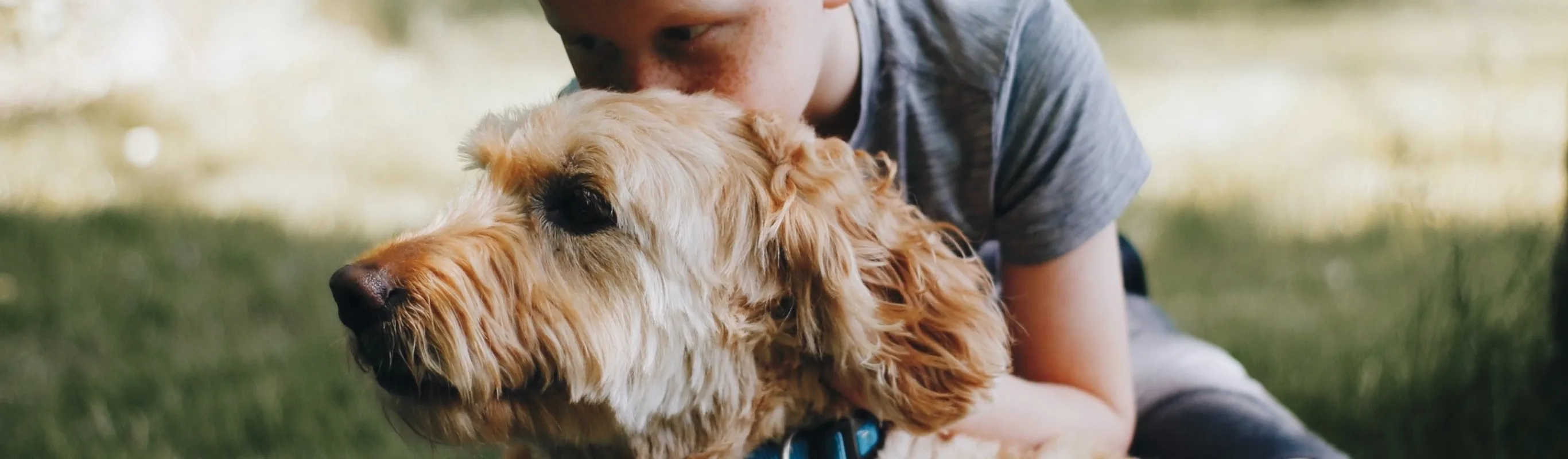 Boy hugging dog