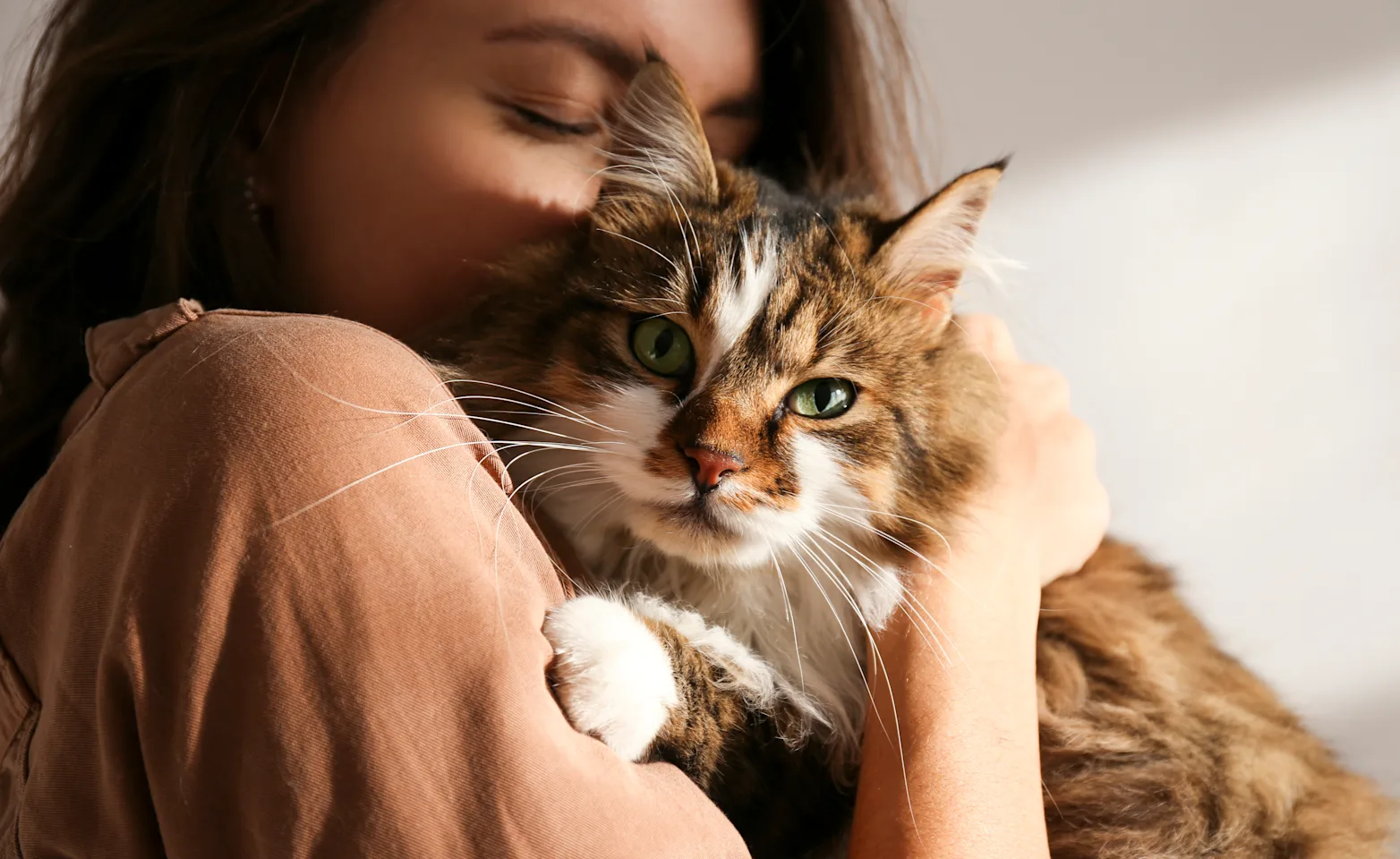 Woman hugging a cat Woman hugging a cat