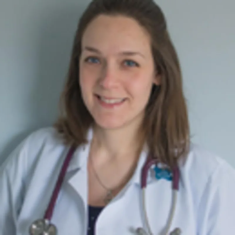 Dr. Lauren Boccanfuso Dr. Lauren Boccanfuso