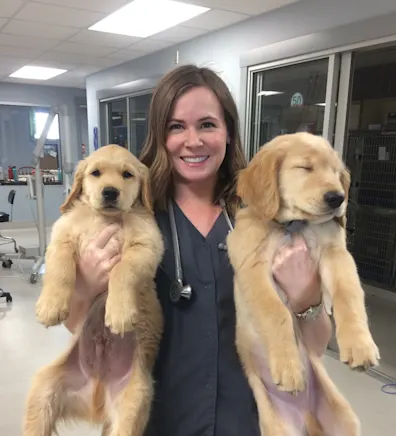 Brianne Sorensen, DVM at Garland Animal Clinic Brianne Sorensen, DVM at Garland Animal Clinic