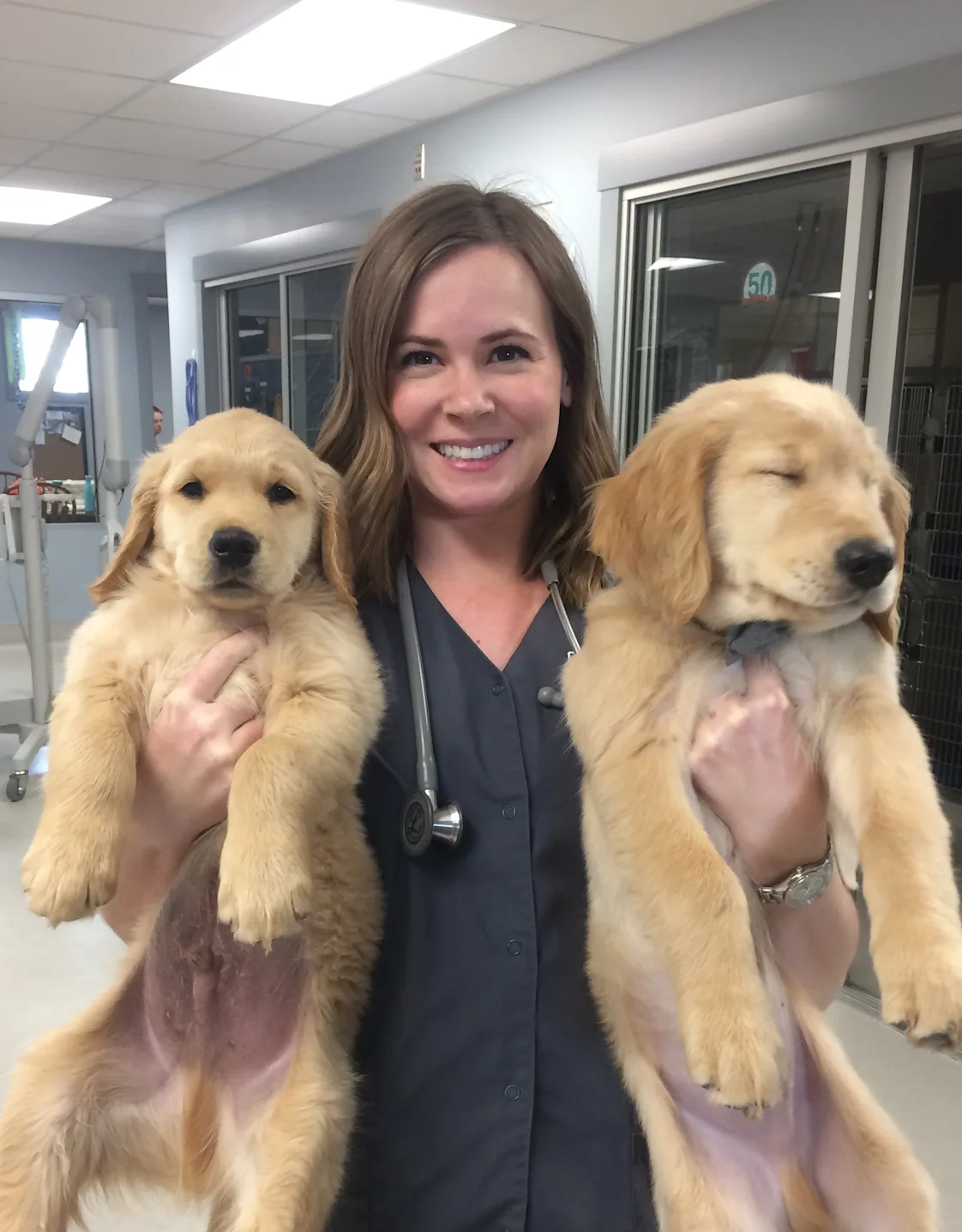 Brianne Sorensen, DVM at Garland Animal Clinic Brianne Sorensen, DVM at Garland Animal Clinic