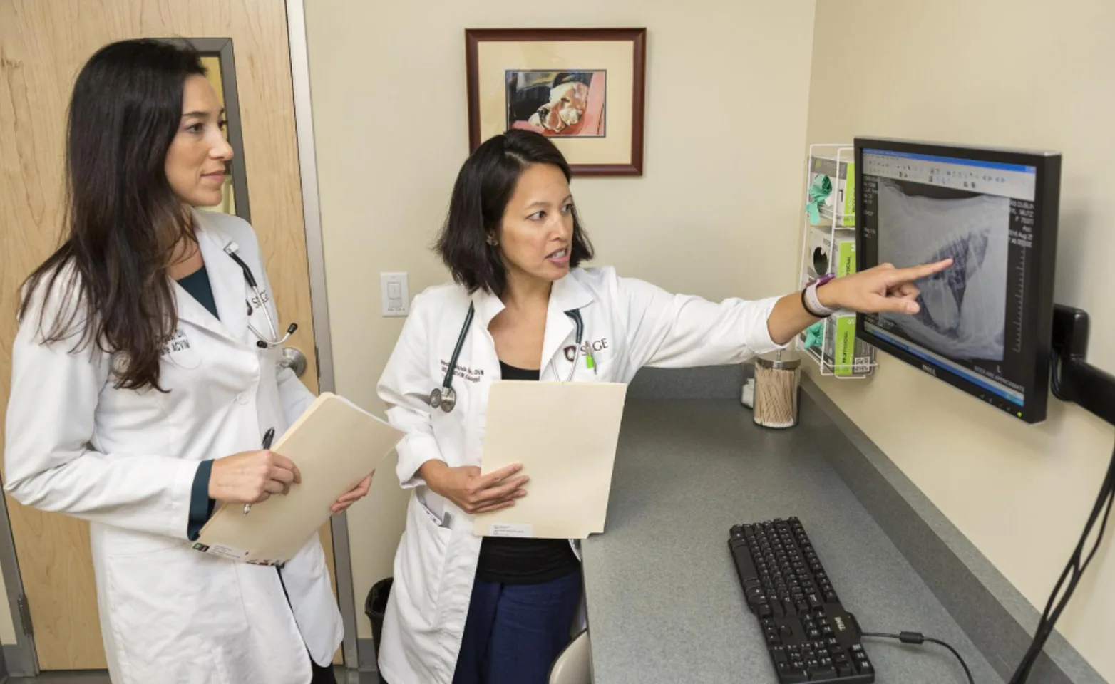 Two Veterinarians Looking at a Digital X-ray at SAGE Veterinary Center