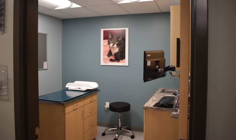 Larkin Veterinary Center Exam Room