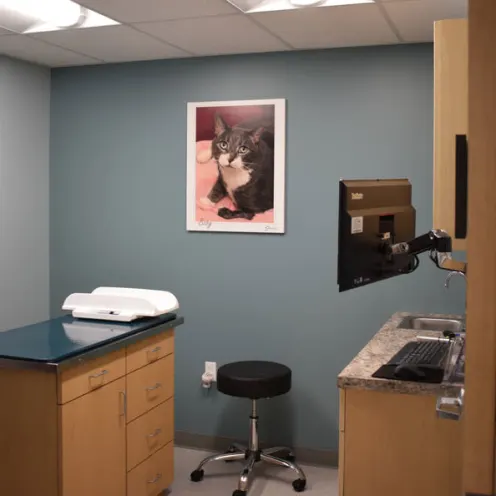 Larkin Veterinary Center Exam Room