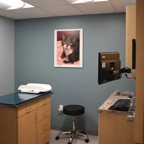 Larkin Veterinary Center Exam Room Larkin Veterinary Center Exam Room