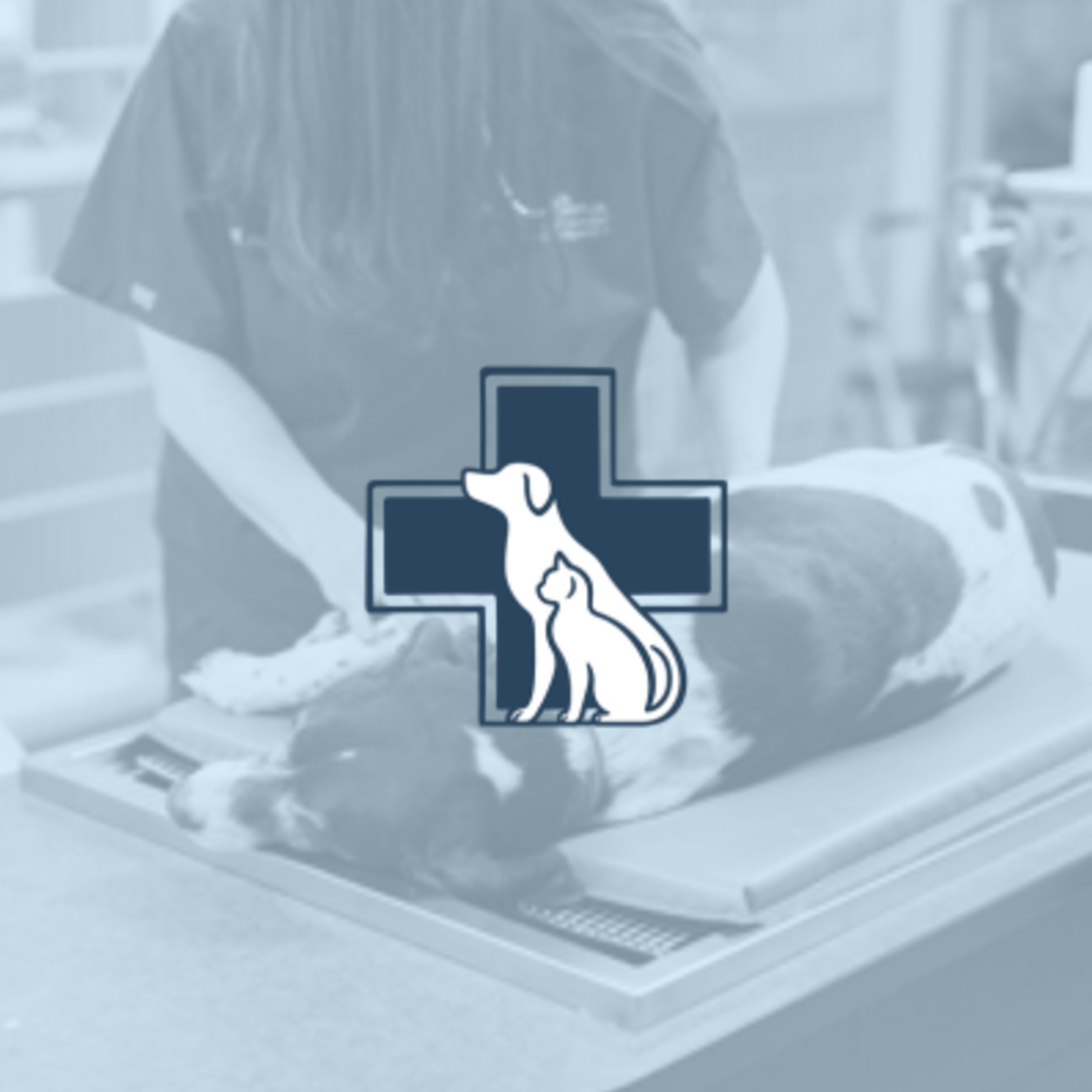 Dog lying on a lab table and an emergency cat and dog pet logo