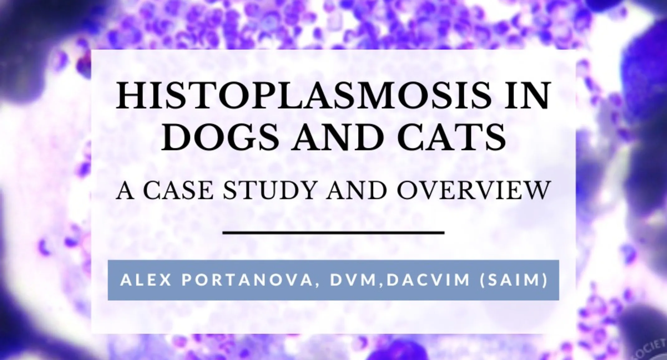 Histoplasmosis in Dogs and Cats thumbnail Histoplasmosis in Dogs and Cats thumbnail