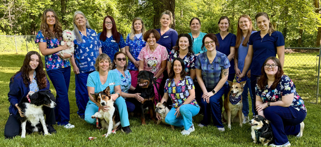 New Baltimore Animal Hospital Staff Group Photo 