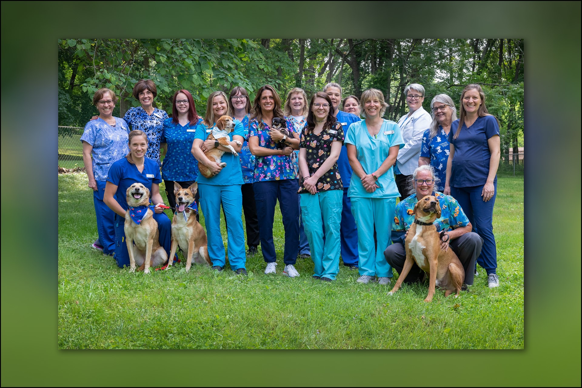 Family Veterinary Care in Warrenton, VA New Baltimore Animal Hospital