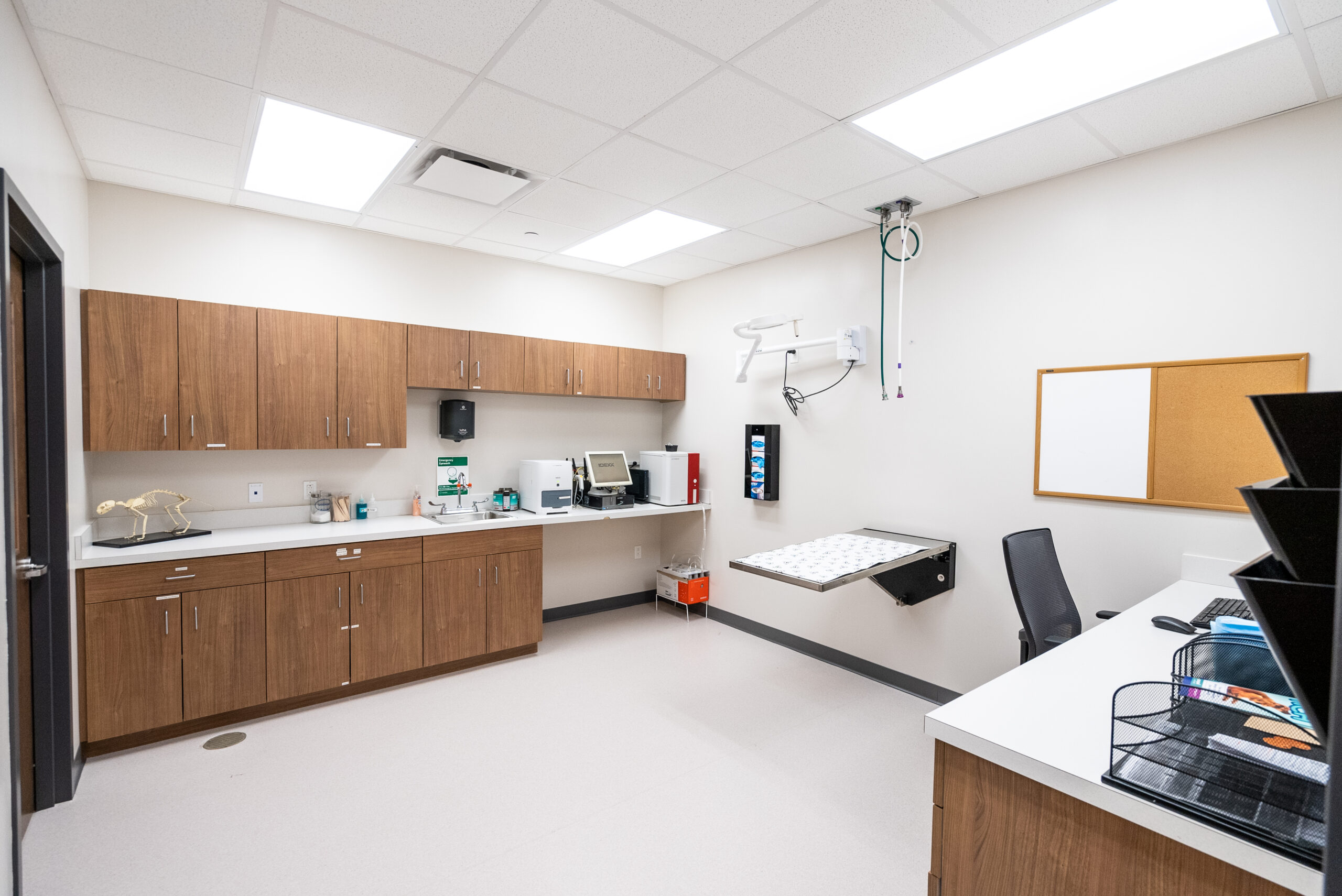 Red Bank Veterinary Hospital Hillsborough facility