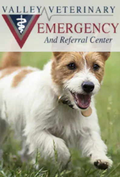 Valley Veterinary Emergency And Referral Center Logo with a small dog running in the grass