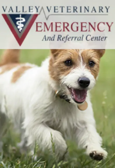 Valley Veterinary Emergency And Referral Center Logo with a small dog running in the grass Valley Veterinary Emergency And Referral Center Logo with a small dog running in the grass