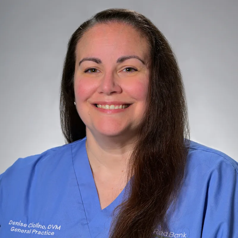 Denise Ciolino Denise Ciolino