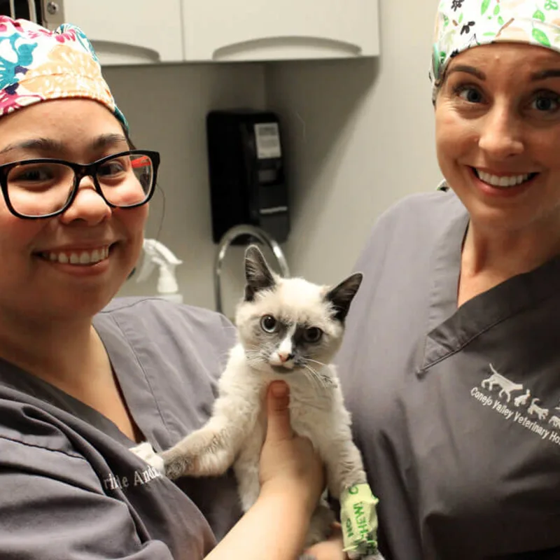 Milton with two members of staff at Conejo Valley Veterinary Hospital Milton with two members of staff at Conejo Valley Veterinary Hospital