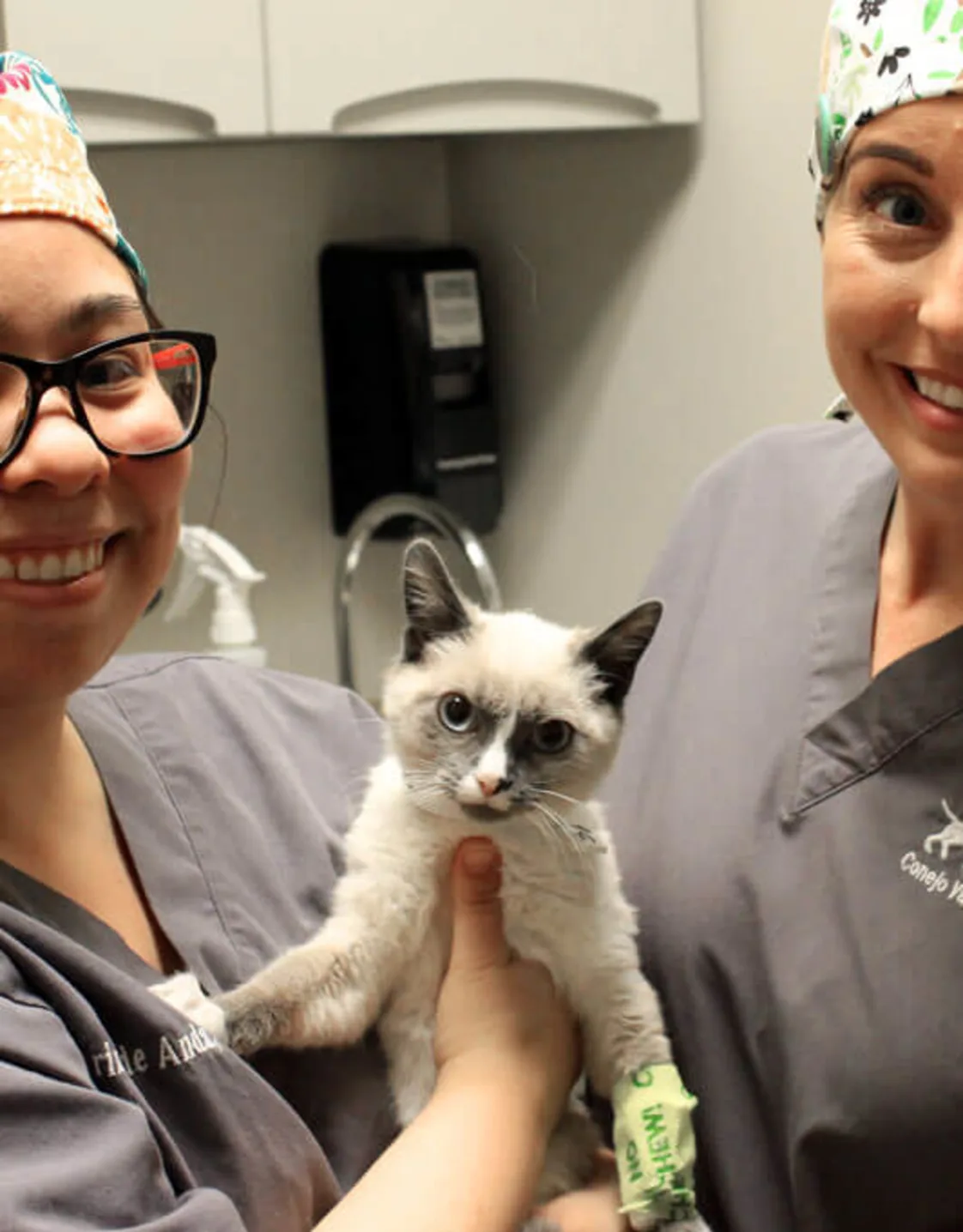 Milton with two members of staff at Conejo Valley Veterinary Hospital Milton with two members of staff at Conejo Valley Veterinary Hospital