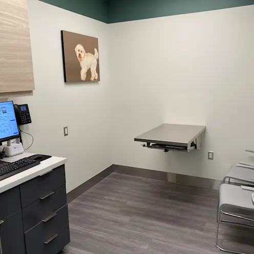 McGilvray Veterinary Hospital 0708 - Exam Room McGilvray Veterinary Hospital 0708 - Exam Room