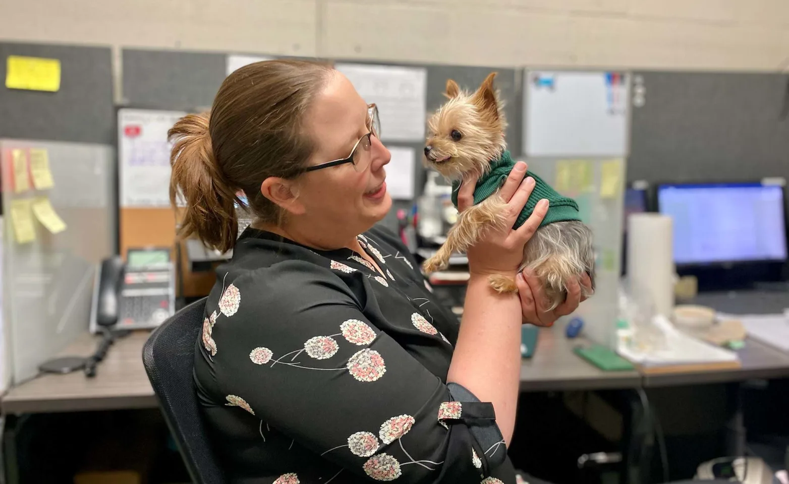 Veterinary social worker holding a little dog